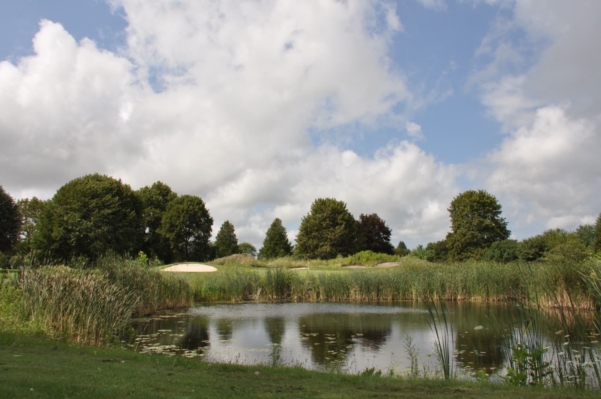 Golf course aerial view